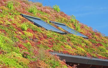 Kirtling Green living roof systems